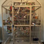 Cockatoo Cage Set-Up Example