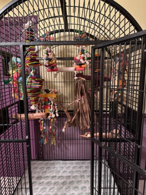Cage Sizes And Requirements – STAR-ST. LOUIS AVIAN RESCUE