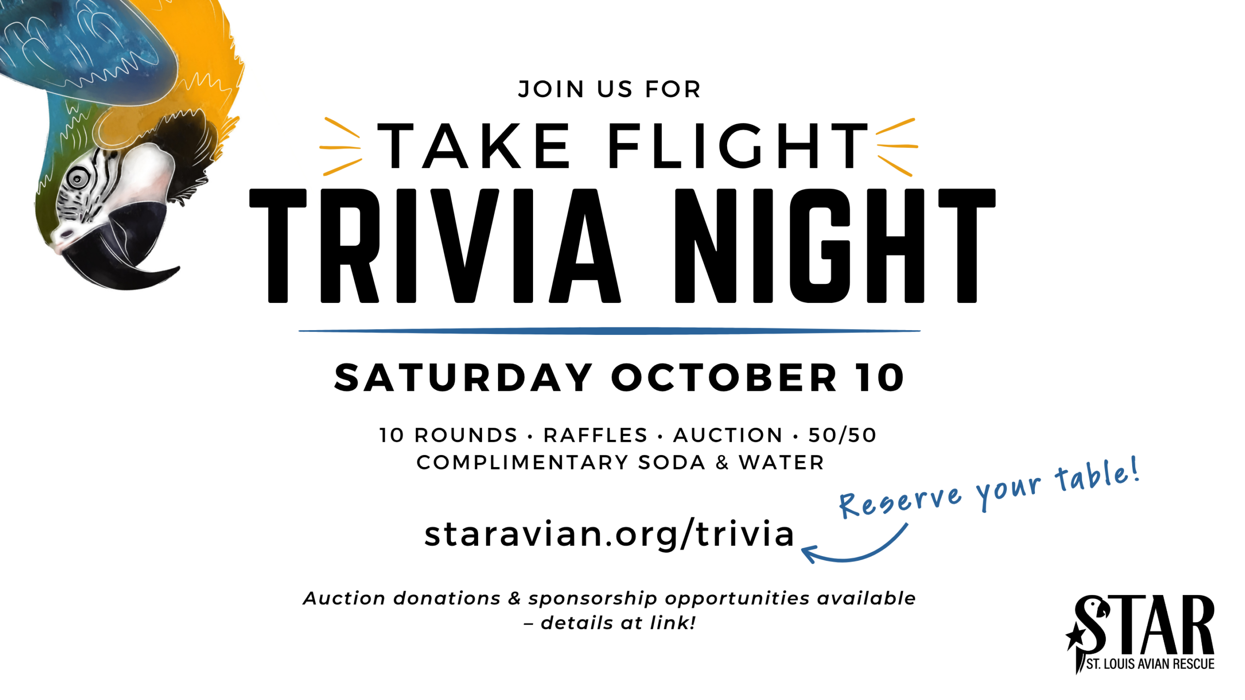 trivia night banner