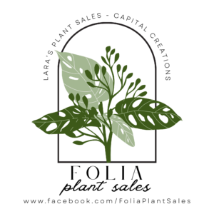 Folia Plant Sales